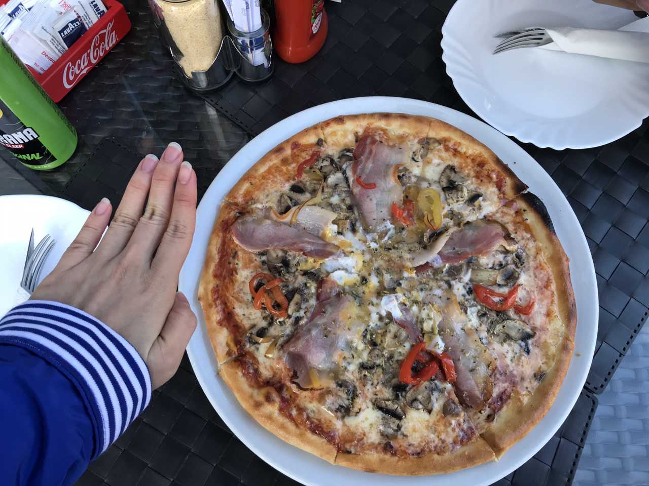 塞尔维亚队前途光明！，西亚卡姆新星败北表现突出赢得满堂喝彩(美国塞尔维亚女排)